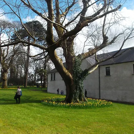Kerry Holiday Homes At The Killarney Holiday Village Exterior photo