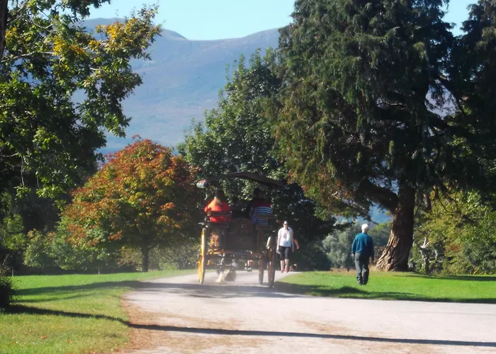 Kerry Holiday Homes At The Killarney Holiday Village